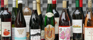 Variety of Wine Bottles